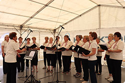 Kulturno društvo Bohinj - Ženski pevski zbor