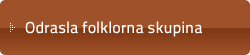 Odrasla folklorna skupina