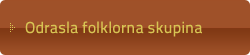 Odrasla folklorna skupina