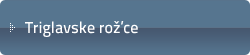 Triglavske rož'ce
