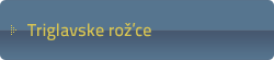 Triglavske rož'ce